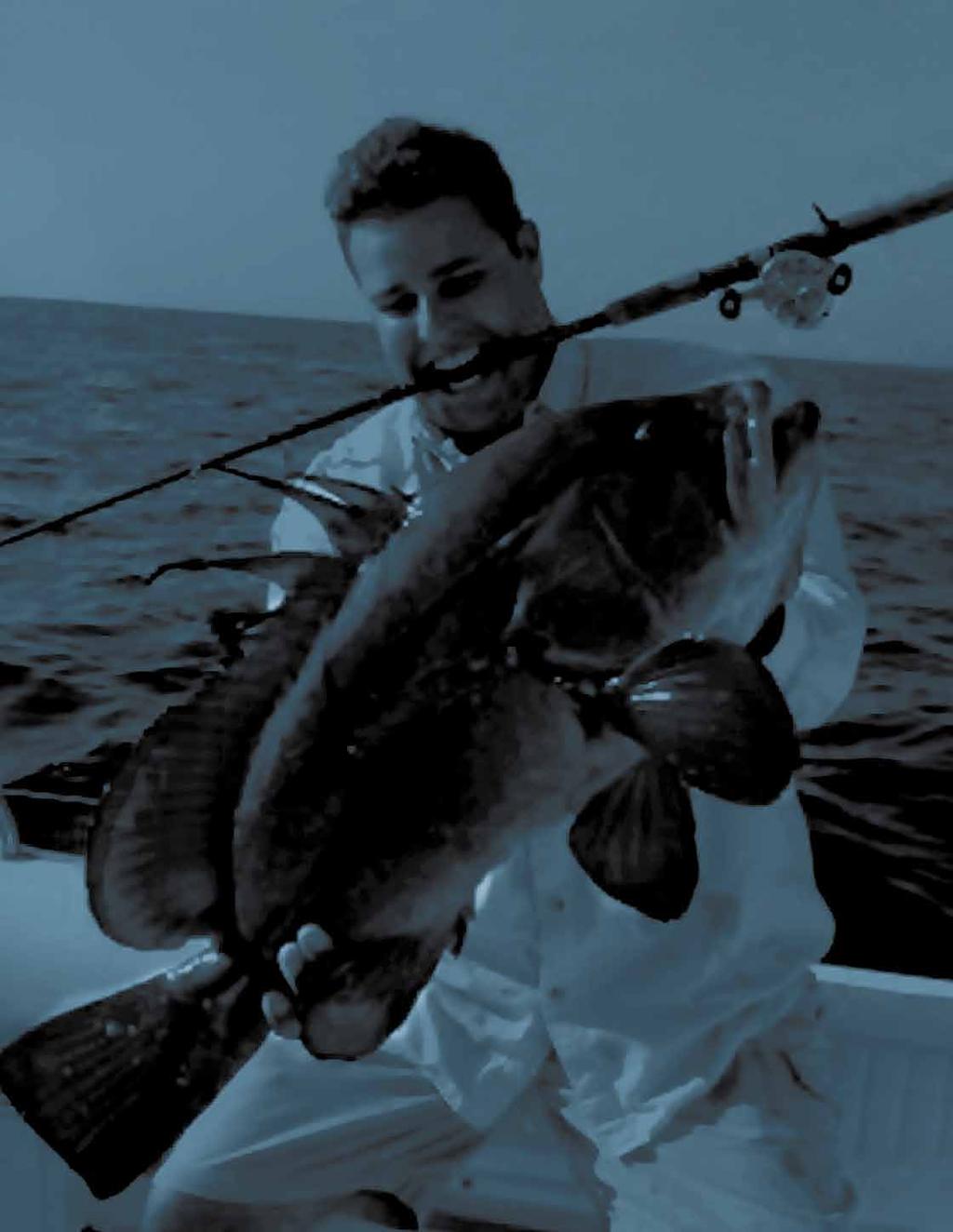 saltwater pro-blue series - pelagic series - Halibut rod surf series - greenwater series popping - live bait - shallow water rods Big, Hot, Fish. What s not to like about fishing the salt?