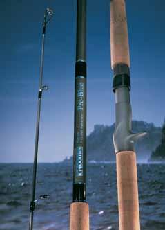 In every case, we seek the advice of the best local saltwater anglers we can find and work with them to develop the ultimate rods for the water they fish.