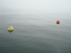 SWAN Model Validation Monterey Bay: NOAA NDBC buoy Santa Cruz: Datawell Waverider Monterey Bay Santa Cruz RMSE SI