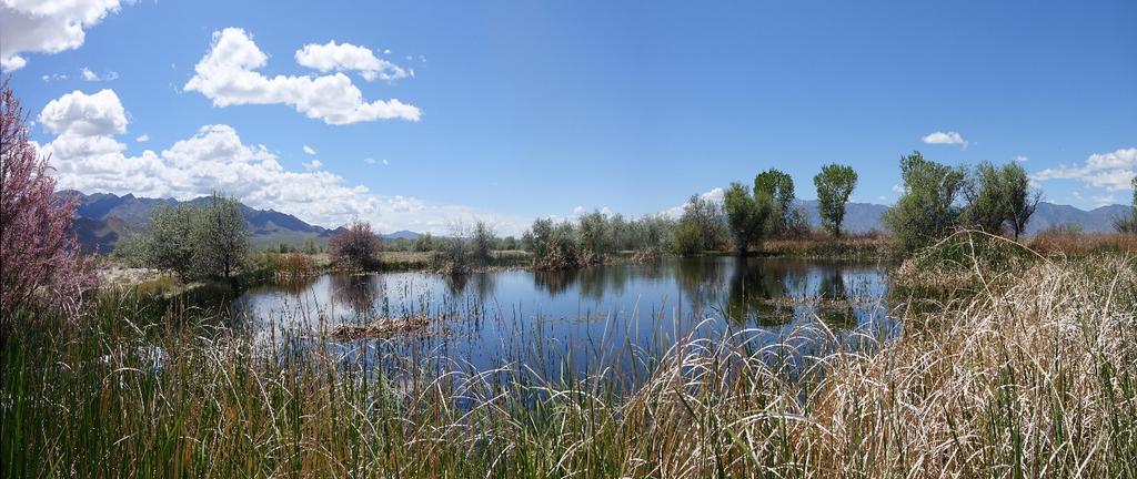 East Valley Road #3 Pond Date Sampled Pond Area Pond Depth Water Temperature Vegetation 2 May 2018 13,462 ft 2 7-8 ft 63.