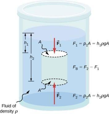 BUOYANT FORCE Pressure due to the weight of a fluid increases with depth because p = hpg.