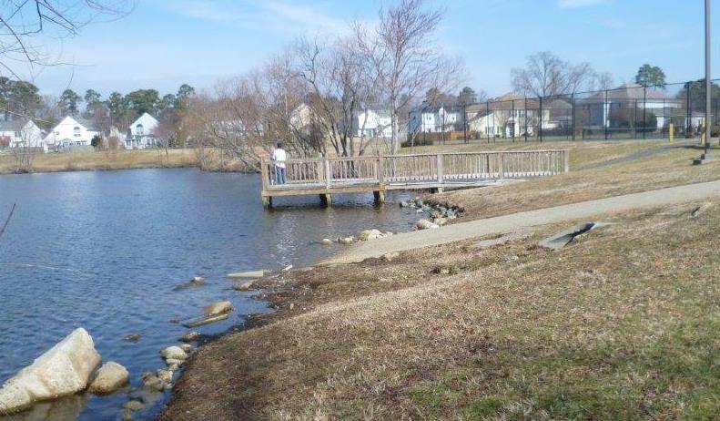 Coventry HOA has maintained the ponds and lakes in the past, and they are mostly healthy, but the time has come to step up the effort a bit.