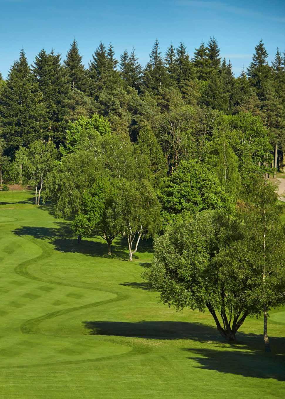 FOXHILLS, SURREY WEDNESDAY 27 TH SEPTEMBER Surrounded by Scots pine, beech and silver birch trees, the Longcross is one