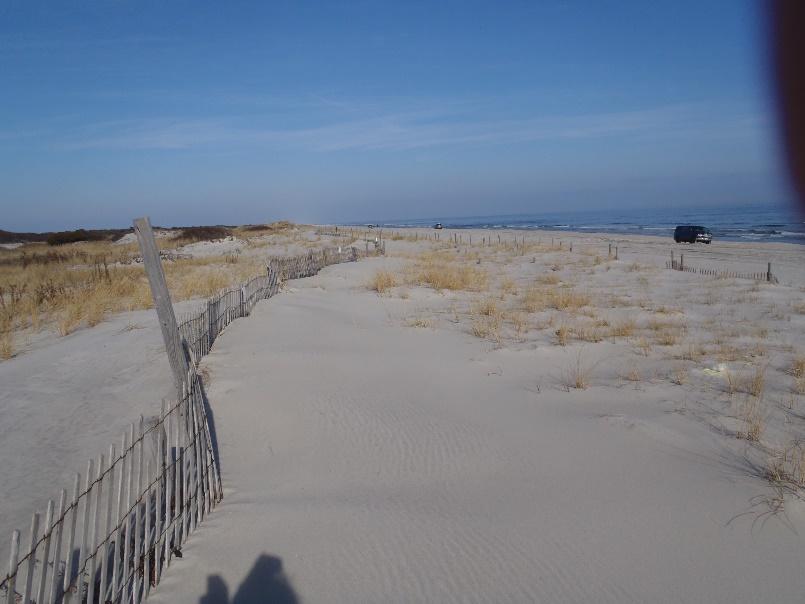 NAVD88) and still nearly 4 ft. below the pre-sandy elevation. Figure 119. This Island Beach location displayed significant gains in the berm and nearshore during the summer/early fall of 2017.
