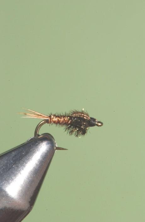 The same fly tied on a Tiemco 101 dry fly hook is meant to ride immediately under the film or, if treated, in the film.