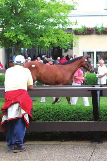 their animals out of state. The limited establishment in September 2011 of historical race wagering has helped Kentucky remain competitive.