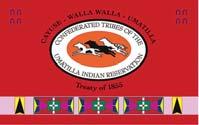 2018-2019 Treaty Hunting Seasons and Regulations Confederated Tribes of the Umatilla Indian Reservation -- Cayuse, Umatilla, and Walla Walla Tribes CTUIR Tribal Hunting Rights Reserved in 1855 Treaty
