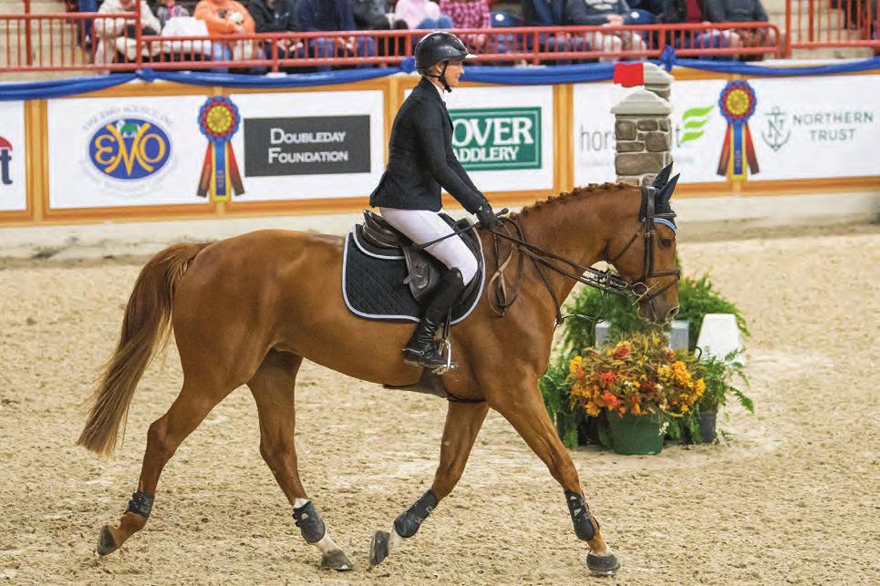 Demographics & Benefits Sponsors who partner with the Pennsylvania National Horse Show can directly market their brand to the unique audiences associated with one of the largest indoor horse shows in