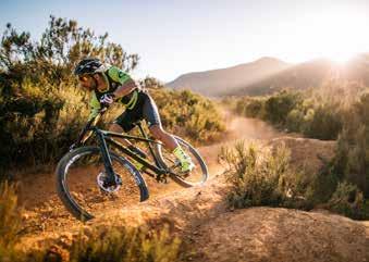 Mountain Line-Up ENDURO Fast, efficient, race-focused bicycles