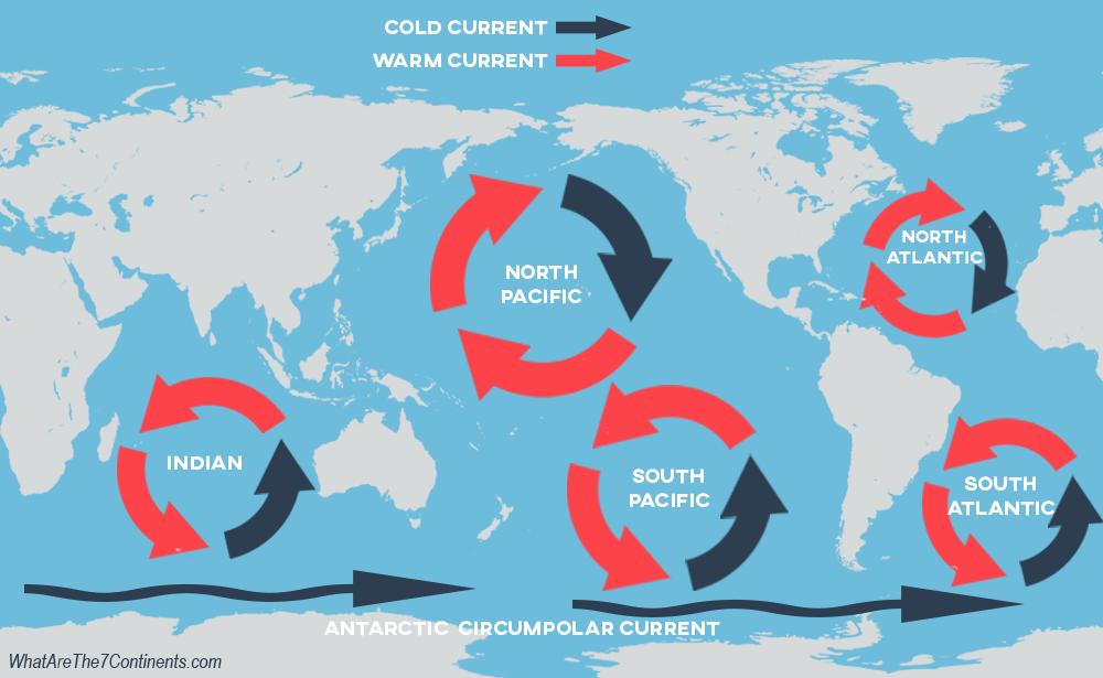 MOVEMENTS in the OCEAN v Ocean current: A ribbon of moving water with unique characteristics generated by earth's rotation and by differences in water salinity and water temperature.