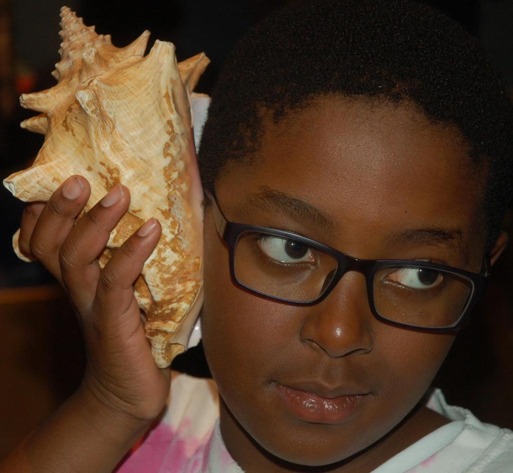 Ocean animal sounds heard while listening to sea shell By Alaster (Adventure Club) I heard the ocean in a sea shell at Science World.