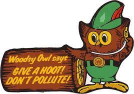 Hoot owl