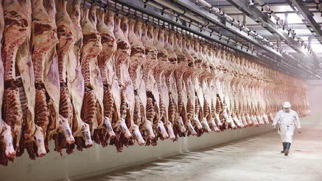 Weaning % Growth Carcase lean meat yield eating quality Identify which traits drive