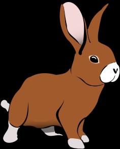 2019 Guthrie County Summer Rabbit Hopping & Agility Membership is open to any Guthrie County members of Clover Kids, 4-H, or FFA. Membership is FREE this year to all Youth!