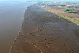 ² Rising tides create a buffer to the river flow, slowing velocity and leading to considerable deposition.