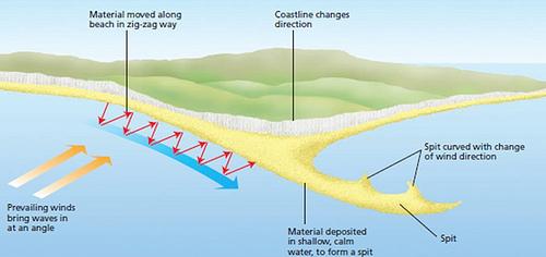 Form on drift-aligned beaches Formed by longshore drift continuing