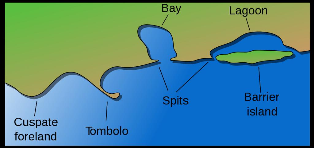 Barrier Islands: Where a beach becomes separated from the mainland it is referred to as a barrier
