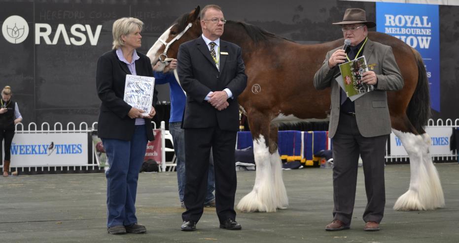 2015 Royal Melbourne Show Numbers were down a little from 2014, with 44 Clydesdale horses on show inc 6 harness Clydesdales.