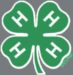 .. WHAT S INSIDE: Record Book National 4-H Week 4-H Family Fun Night Citizenship Group Re-enrollment 4HOnline Recruitment Pizza Party Our summer