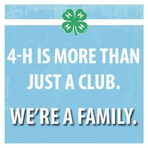 Get creative and promote 4-H decorate your car, create posters at school or community businesses, and/or use social media!