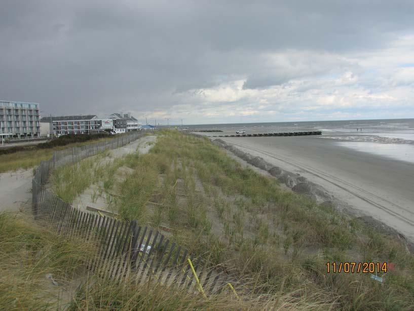 Figure 5. View from 5th Avenue looking north taken on November 7, 2014 displaying trucked-in piles of sand at the seaward dunetoe.