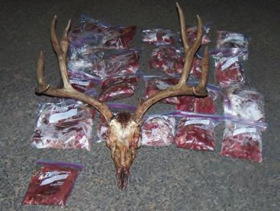 The suspect stated he got buck fever, and the buck was too large to resist. He planned to tag it with his controlled Sprague River Unit tag after the season began.