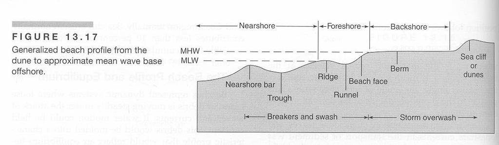 Storm waves destroy or reduce berms & build longshore bars, so the magnitude & frequency of storm waves control the beach profile, producing a summer profile (wide berm, no bars) and a winter