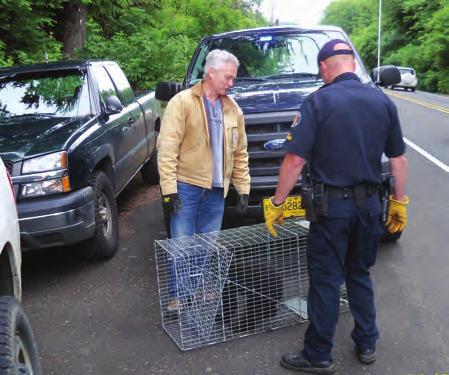 Wildlife / Hunting Orphaned Bear Cub Trapped and Taken to Rehab On a Monday, Sgt. Thompson (Newport) responded to Hwy 18 on a report of a bear cub in the area of a road-struck bear.