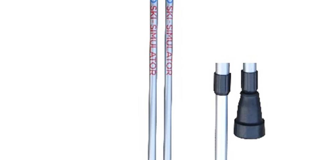 PRO POLES Free Pro ski poles provide