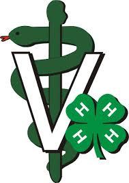 Vet Science Project The 4 H Veterinary Science Project is a 5 year curriculum based project with a set number of lessons and activities, that gives youth interested in veterinary medicine a chance to