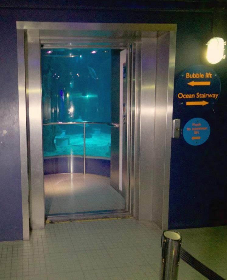 You may take the bubble lift through the 10m deep Endless Ocean exhibit.