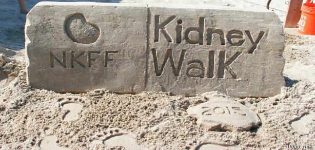 ABOUT THE NATIONAL KIDNEY FOUNDATION The National Kidney Foundation (NKF) is the leading organization in the United States dedicated to the AWARENESS, PREVENTION, and TREATMENT of kidney disease for