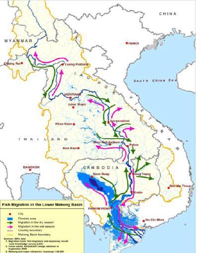 Fisheries of the lower Mekong Basin Total first-sale value is US$7.