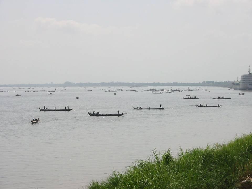 Pressures on Mekong fish