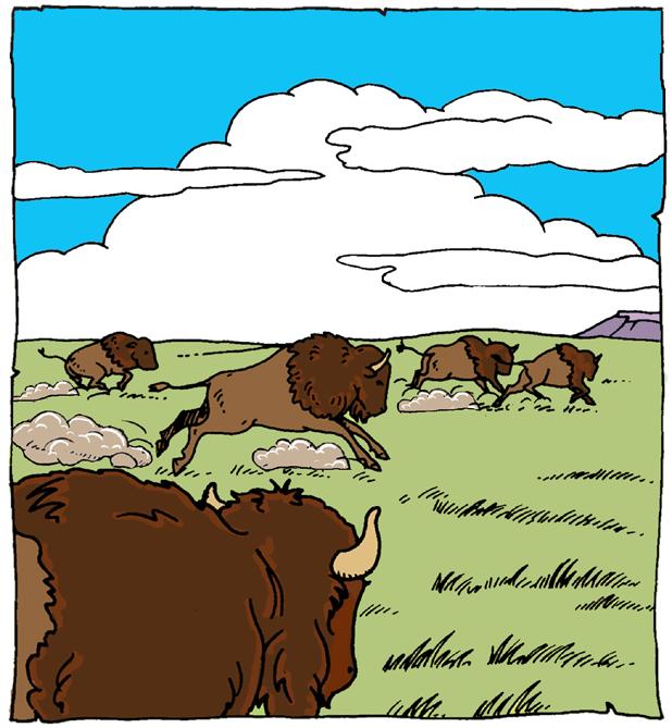Wind-in-the-Treetops saw the dark shapes of the buffaloes against the edge of the sky. He was so excited that he could hardly sit still.