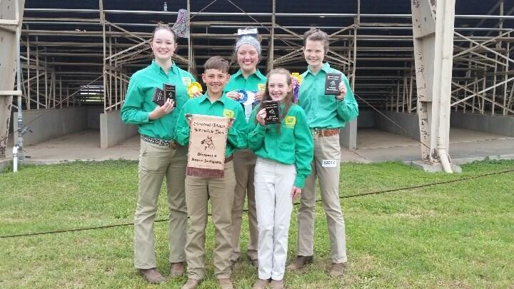 District 8 Horse Judging Contest Congratulations to the Hood County 4-H Horse Judging Teams and individuals! Jr.