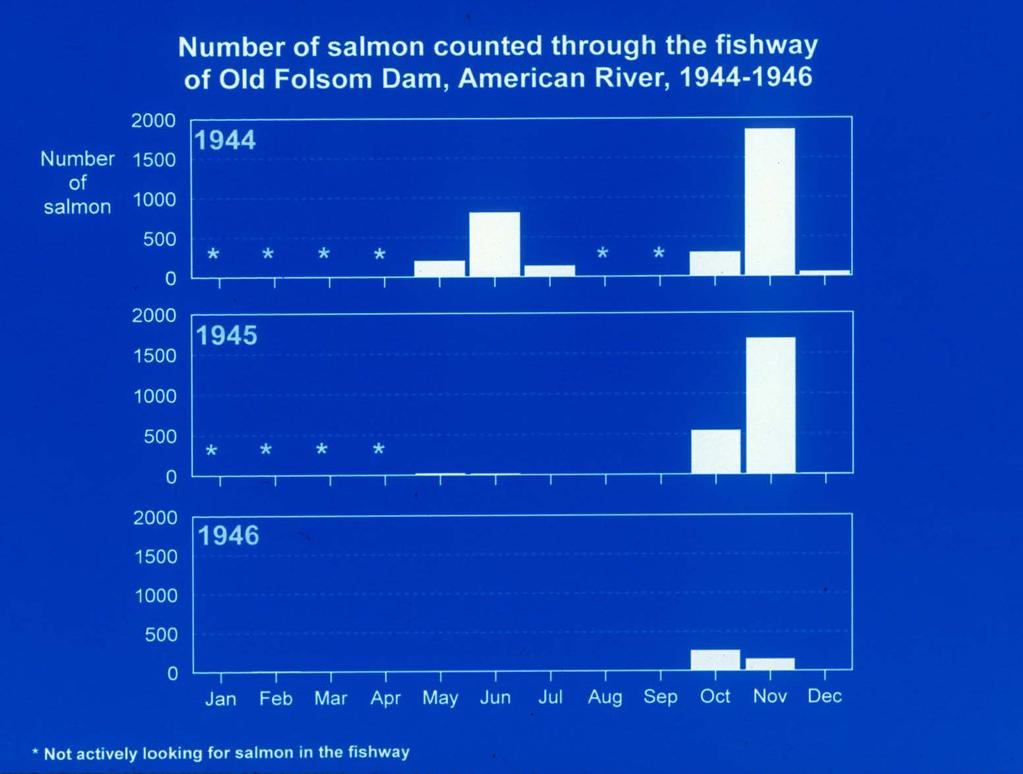 Spring-run Chinook salmon still in the system prior to construction of the Folsom Project