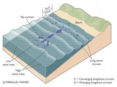 Water accumulation creates sea level setup (pressure gradient forces) that drive the accumulated water