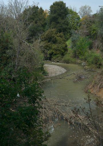 San Francisquito Creek, seen here flowing between Menlo Park and Palo Alto,