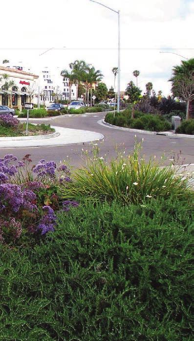 One of the five roundabouts along La Bird Rock, San Diego, CA La Jolla Boulevard in the Bird Rock neighborhood was a five lane road pedestrian unfriendly road carrying up to 22,000 vehicles per day.