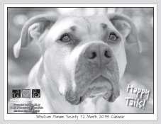 Name listed on WHS website 2019 Happy Tails Calendar $300 One Month Sponsorship
