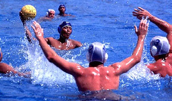 swimming basketball soccer water polo