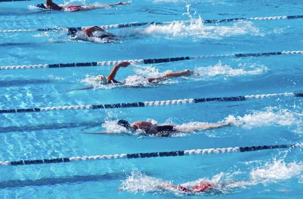 But in the freestyle event, swimmers can