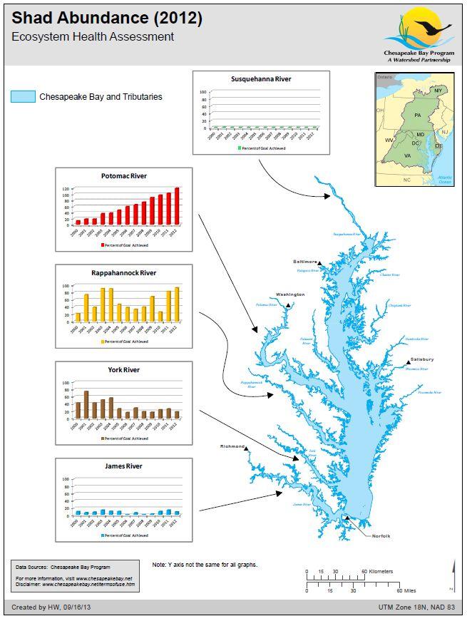 That ASMFC benchmark goal was exceeded in 2011 and the trend continues to climb. The Potomac s shad population has reached nearly 130% of the goal.