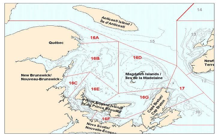 Appendix 2: Map of herring