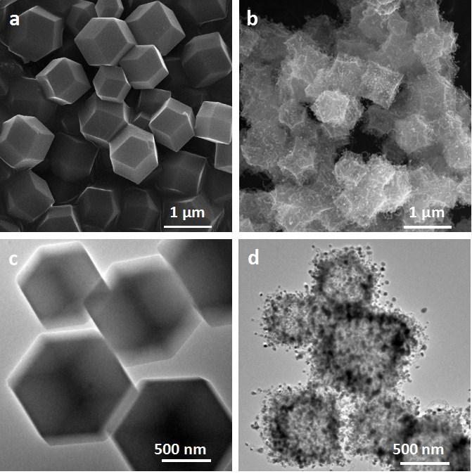 Fig. S1 The SEM images and corresponding TEM