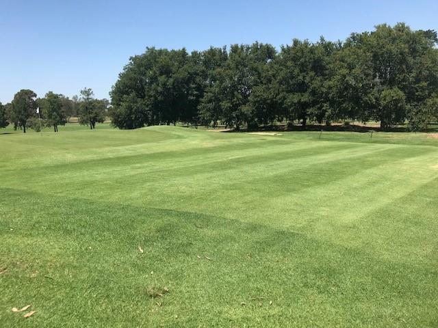been implemented and now being mowed three times a week. Fairways are being mowed three times a week.