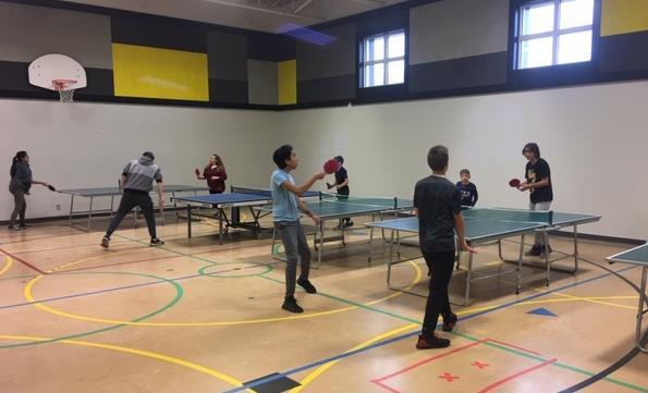 Ping Pong Talent Development