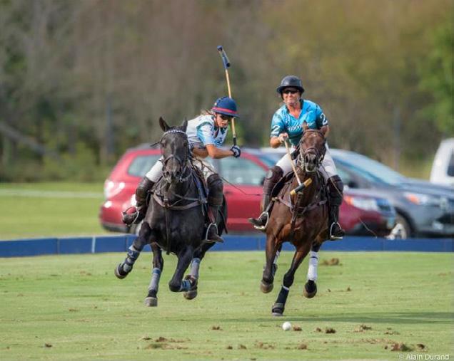 Llangollen Estate was host to the fourth annual National Sporting Museum & Library Polo Benefit last