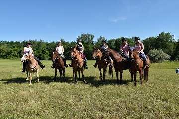 The Stable Tour makes a perfect activity when entertaining weekend guests or attending a nearby horse show! The Tour includes six stables that display a variety of styles and equine disciplines.